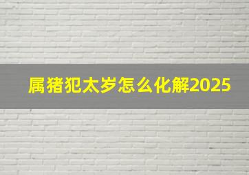 属猪犯太岁怎么化解2025