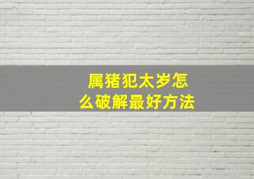 属猪犯太岁怎么破解最好方法