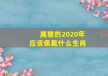 属猪的2020年应该佩戴什么生肖