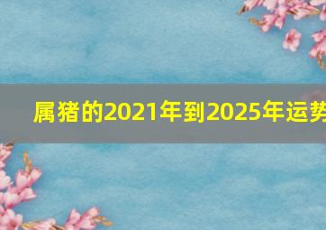 属猪的2021年到2025年运势