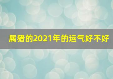 属猪的2021年的运气好不好