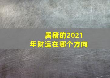 属猪的2021年财运在哪个方向