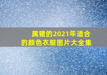 属猪的2021年适合的颜色衣服图片大全集