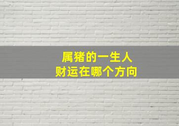 属猪的一生人财运在哪个方向