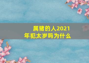 属猪的人2021年犯太岁吗为什么