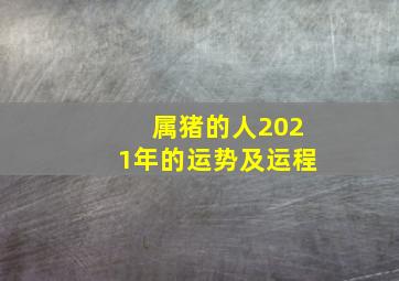 属猪的人2021年的运势及运程