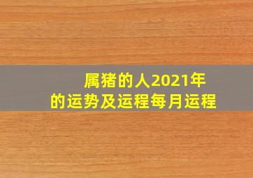 属猪的人2021年的运势及运程每月运程