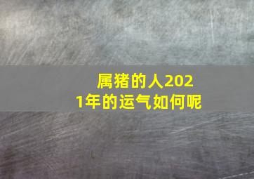 属猪的人2021年的运气如何呢