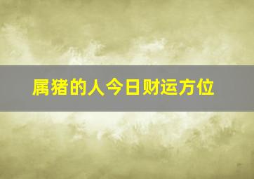 属猪的人今日财运方位