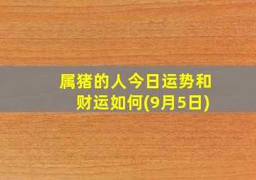 属猪的人今日运势和财运如何(9月5日)