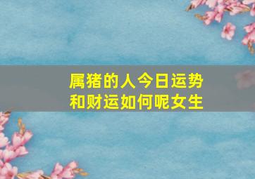 属猪的人今日运势和财运如何呢女生