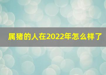 属猪的人在2022年怎么样了