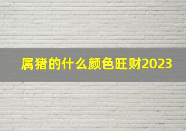 属猪的什么颜色旺财2023