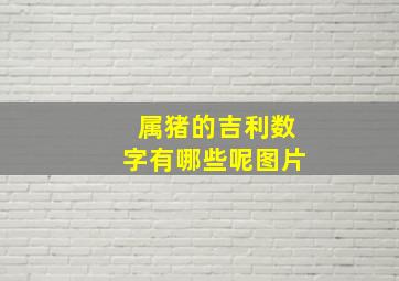 属猪的吉利数字有哪些呢图片