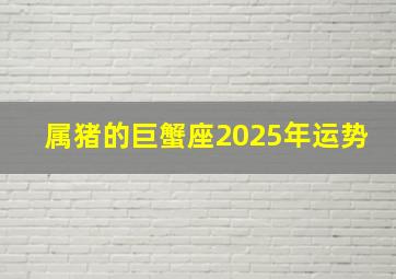 属猪的巨蟹座2025年运势