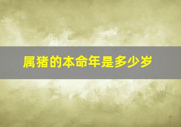 属猪的本命年是多少岁