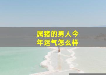 属猪的男人今年运气怎么样