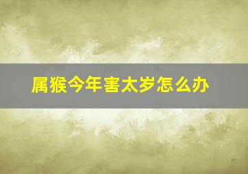 属猴今年害太岁怎么办