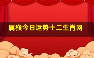 属猴今日运势十二生肖网