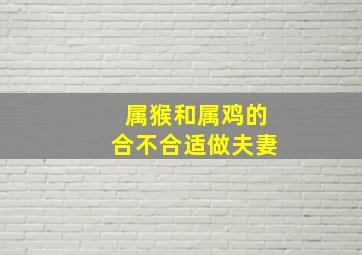 属猴和属鸡的合不合适做夫妻