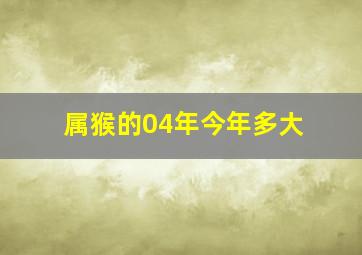 属猴的04年今年多大