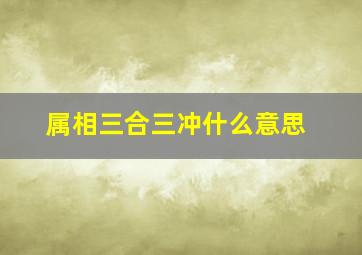 属相三合三冲什么意思