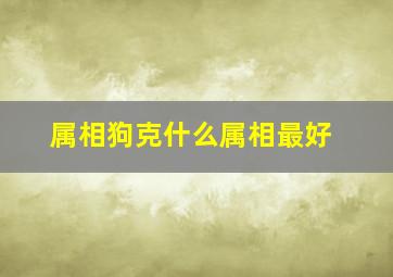 属相狗克什么属相最好