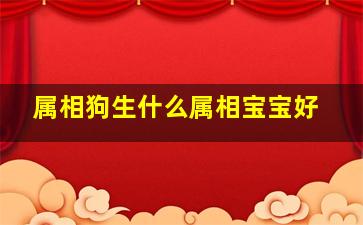 属相狗生什么属相宝宝好