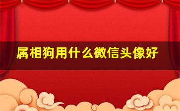 属相狗用什么微信头像好