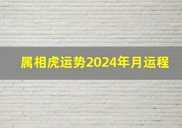 属相虎运势2024年月运程