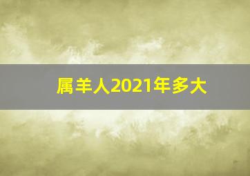 属羊人2021年多大