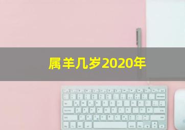 属羊几岁2020年