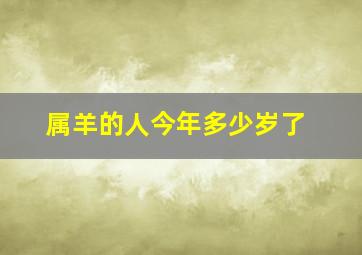 属羊的人今年多少岁了