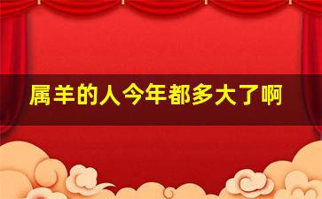 属羊的人今年都多大了啊