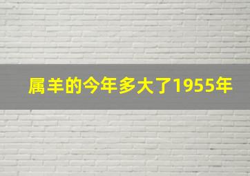 属羊的今年多大了1955年