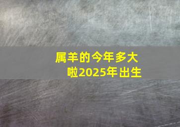 属羊的今年多大啦2025年出生