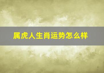 属虎人生肖运势怎么样