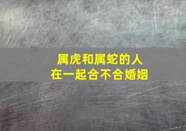 属虎和属蛇的人在一起合不合婚姻