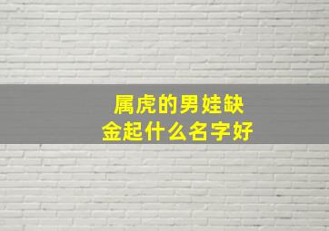 属虎的男娃缺金起什么名字好