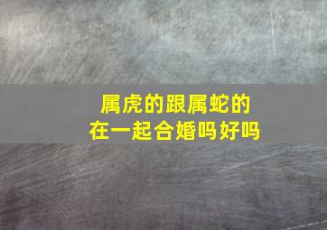 属虎的跟属蛇的在一起合婚吗好吗