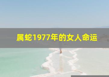 属蛇1977年的女人命运