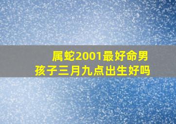 属蛇2001最好命男孩子三月九点出生好吗