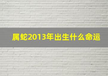 属蛇2013年出生什么命运