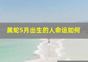 属蛇5月出生的人命运如何