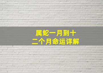 属蛇一月到十二个月命运详解