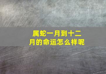 属蛇一月到十二月的命运怎么样呢