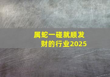 属蛇一碰就顺发财的行业2025