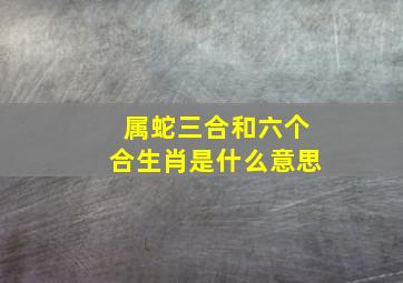 属蛇三合和六个合生肖是什么意思