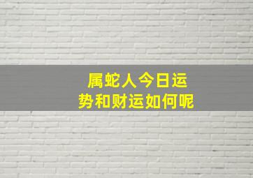 属蛇人今日运势和财运如何呢