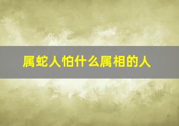 属蛇人怕什么属相的人